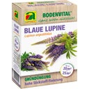 AUSTROSAAT Blauwe Lupine - Groenbemester