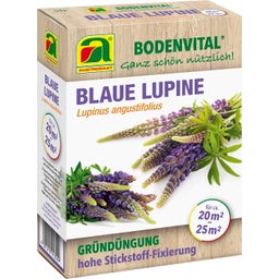 AUSTROSAAT Blauwe Lupine - Groenbemester - 330 g