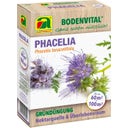 AUSTROSAAT Phacelia - Abono Verde para las Abejas