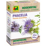 AUSTROSAAT Phacelia - Bee Friendly Green Manure