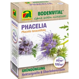 AUSTROSAAT Phacelia - Sovescio - 300 g