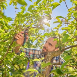 GARDENA Gartenschere PremiumCut Pro Flex