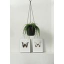 elho brussels hanging basket, 18 cm - antracite