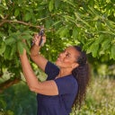 GARDENA Gartenschere PremiumCut Frisches Holz