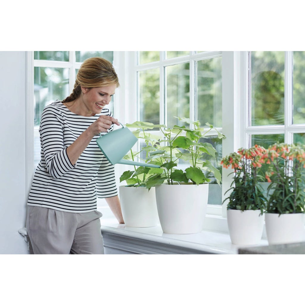 elho brussels Watering Can "1.8L" Bloomling International