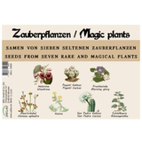 Saflax Set de Graines "Plantes magiques"