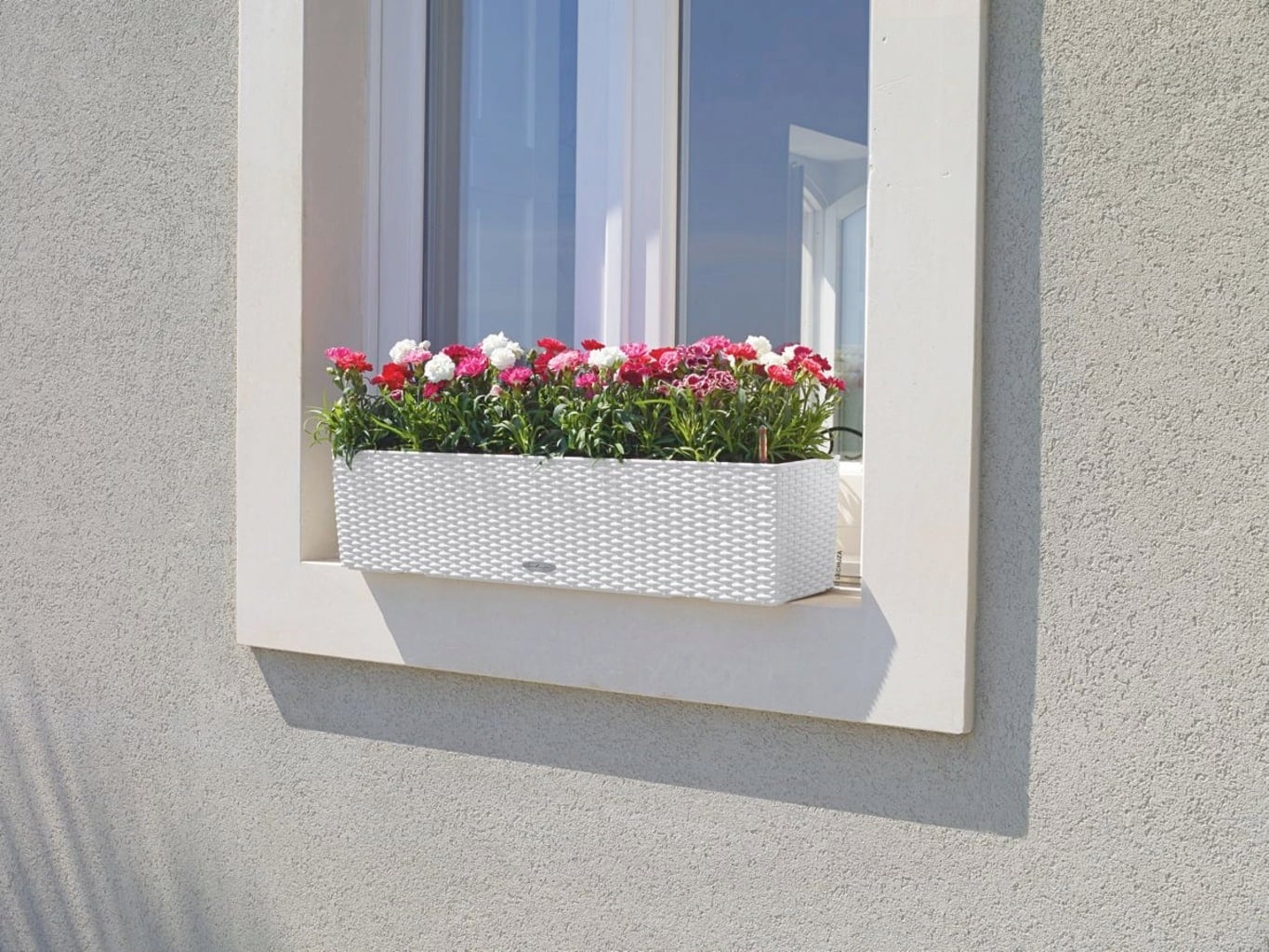Lechuza BALCONERA Cottage 80