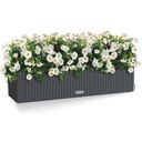 Lechuza BALCONERA Cottage Planter 80 - Granite