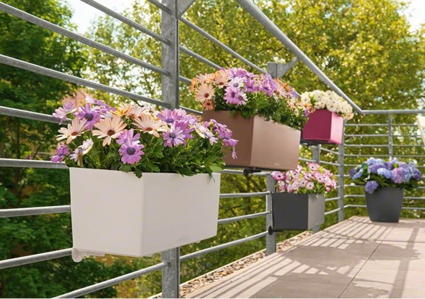 Lechuza Planter Balconera Color 80
