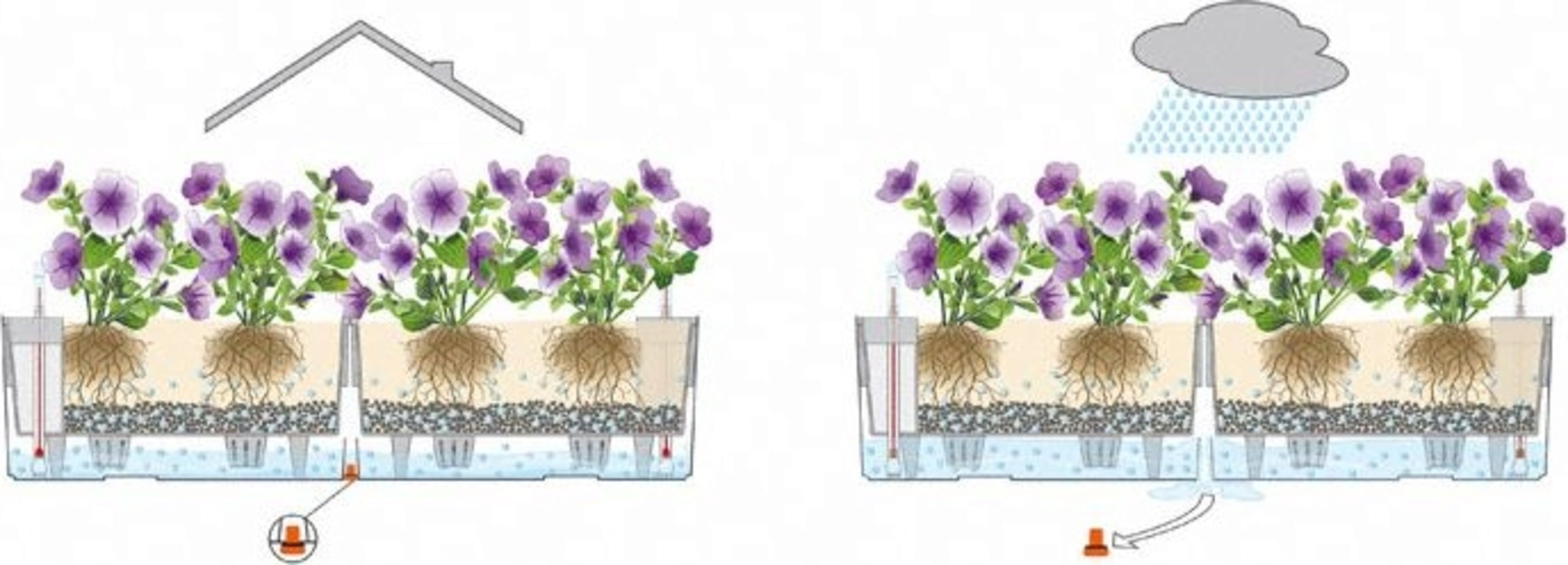 Lechuza Planter Balconera Color 80