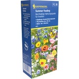 Kiepenkerl Summer Feeling Flower Mix