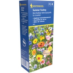 Kiepenkerl Summer Feeling Flower Mix - 1 Pkg