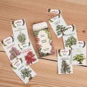 Own Grown Bonsai Seeds - 8 Seed Set