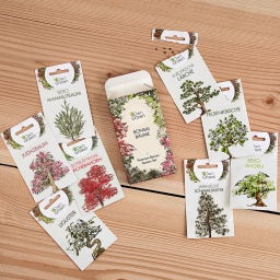 Own Grown Bonsai Seeds - 8 Seed Set