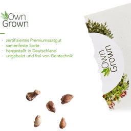 Own Grown Bonsai Seeds - 8 Seed Set