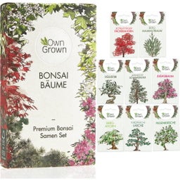 Own Grown Bonsai Seeds - 8 Seed Set