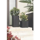 Lechuza CANTO Slatestone 30 high - temno siva