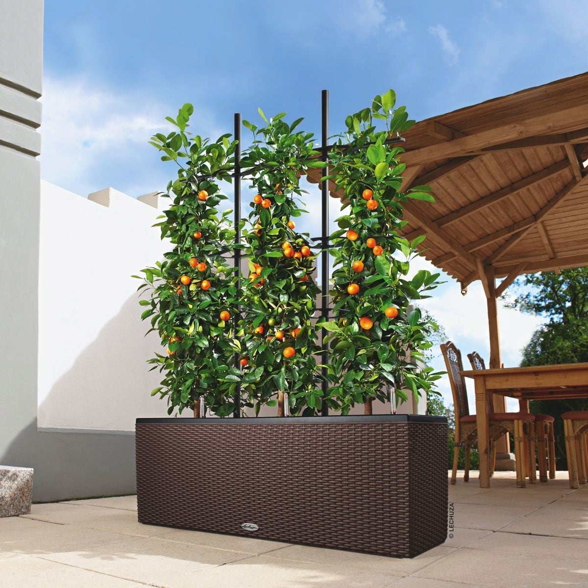 Lechuza Trellis for TRIO 40 - 30