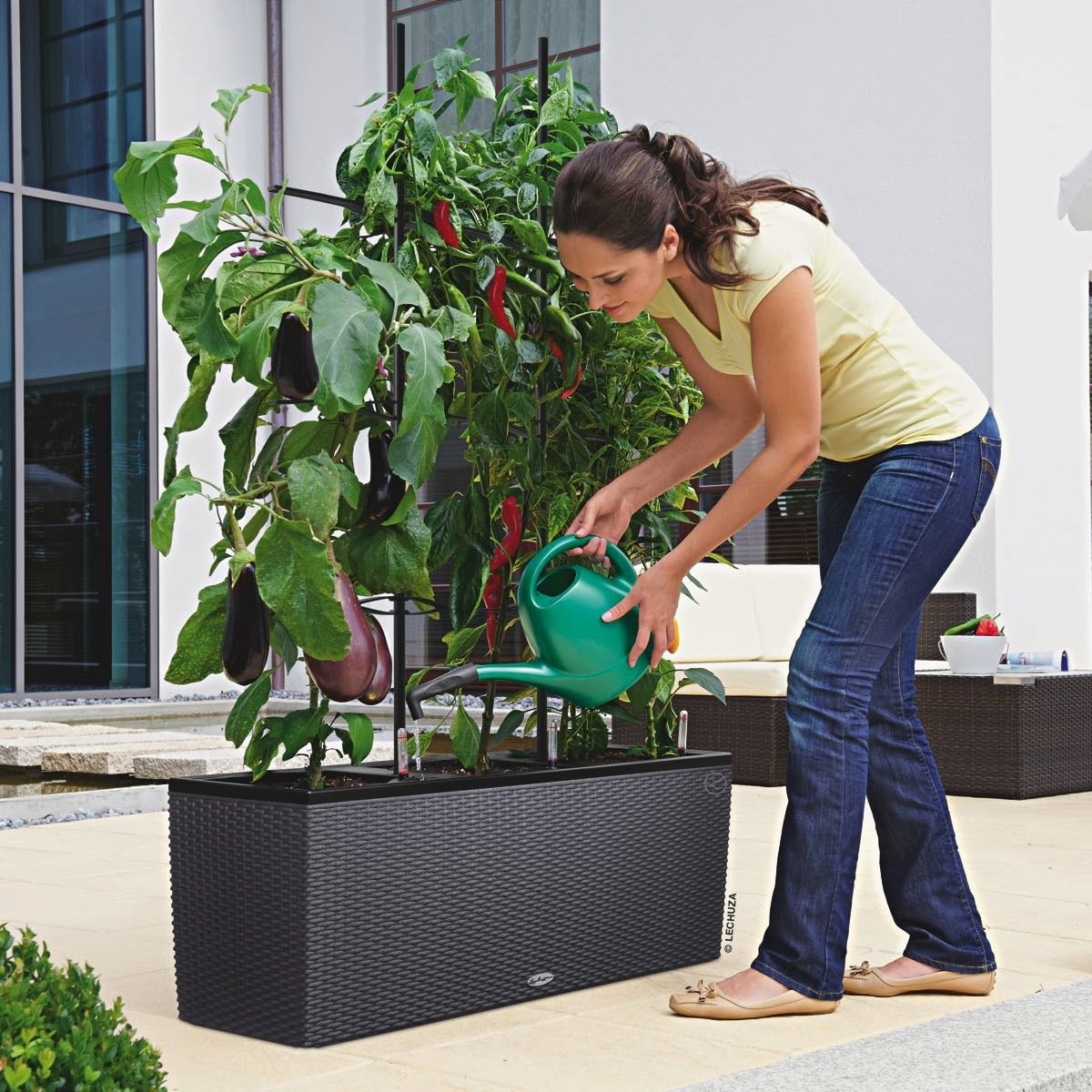 Lechuza Trellis for TRIO 40 - 30