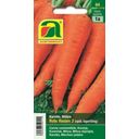 AUSTROSAAT Carrot 