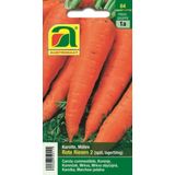 AUSTROSAAT Carrot "Red Giant 2"