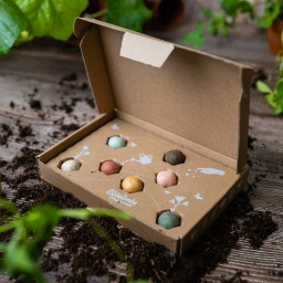 Seed Bomb Gift Box, small - Happy new home - 