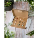 Blossombs Seed Bomb Gift Box - I love you - 