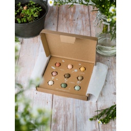 Blossombs Seed Bomb Gift Box - I love you - 