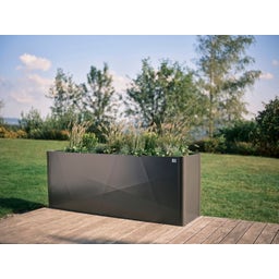 Biohort Belvedere maxi Gr. 2x0,5 m X-Design - dunkelgrau-metallic