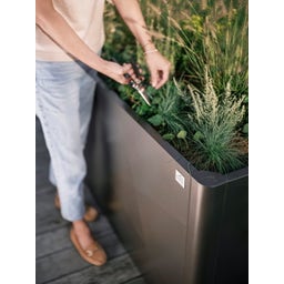 Biohort Belvedere maxi Gr. 2x0,5 m X-Design - dunkelgrau-metallic