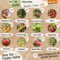 Demeter set zgodovinskih sort paradižnika - 1 set.