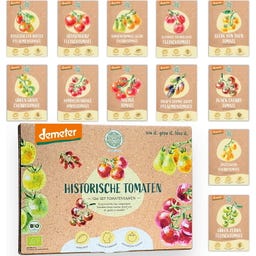 Demeter set zgodovinskih sort paradižnika - 1 set.