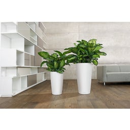 Lechuza Planter Rondo Premium 40 - white matte