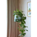 Hangende Bloempot 