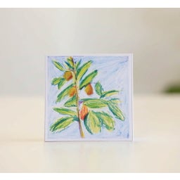 Pepin Avocado Float - Samanta Kerdine