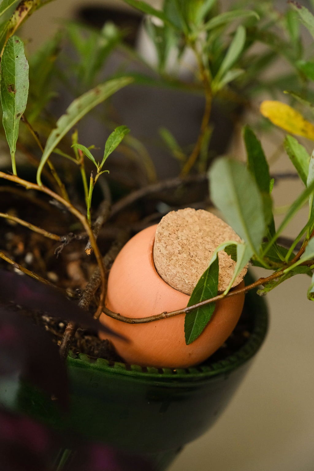 Pepin Mini-Ollas Trio - 2 terracotta + 1 speckled white