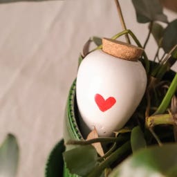 Pepin Hydrating Olla - Heart