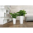 Lechuza Planter Rondo Premium 40 - white matte