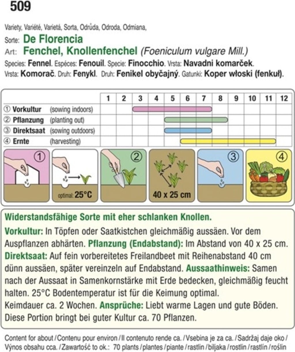 AUSTROSAAT Knollenfenchel 