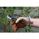 Burgon & Ball Garten-Handschuhe 