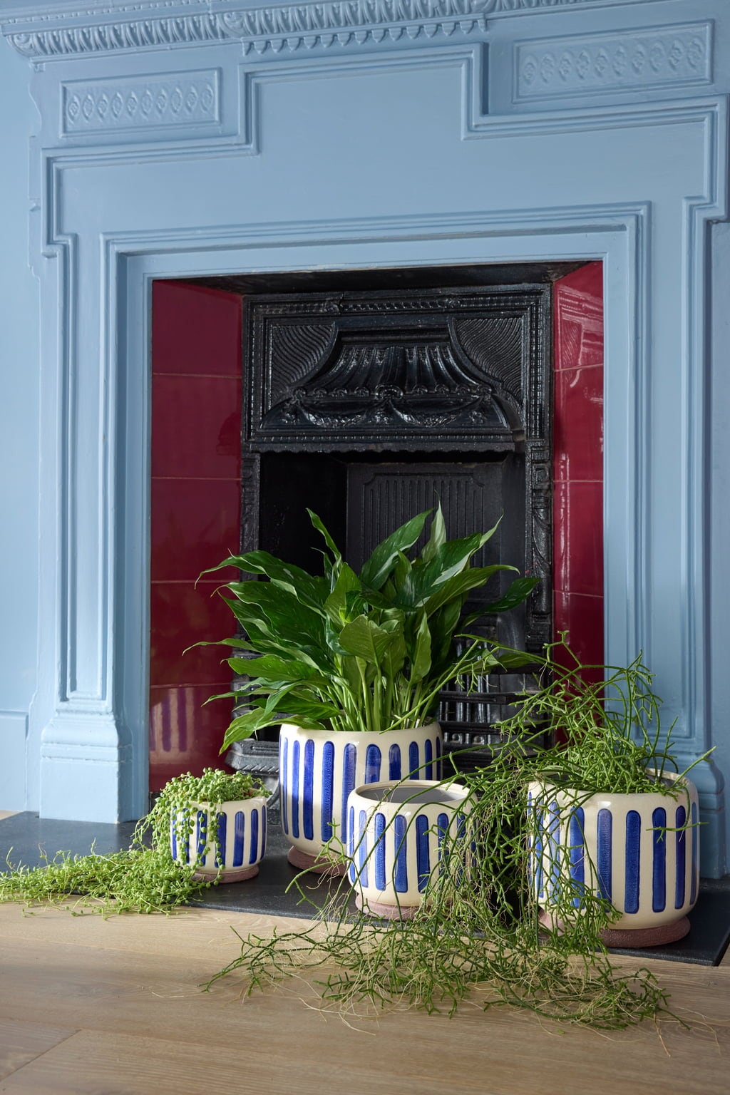Burgon & Ball Pot d'Intérieur 