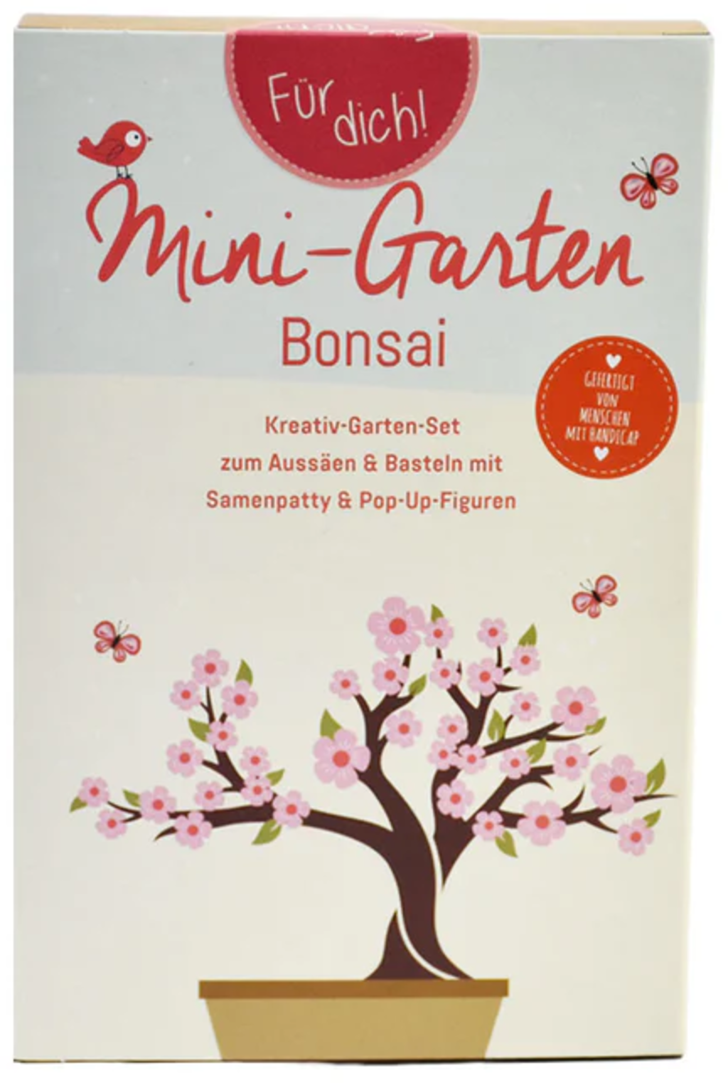 Wunderle Kit Mini-Jardin 