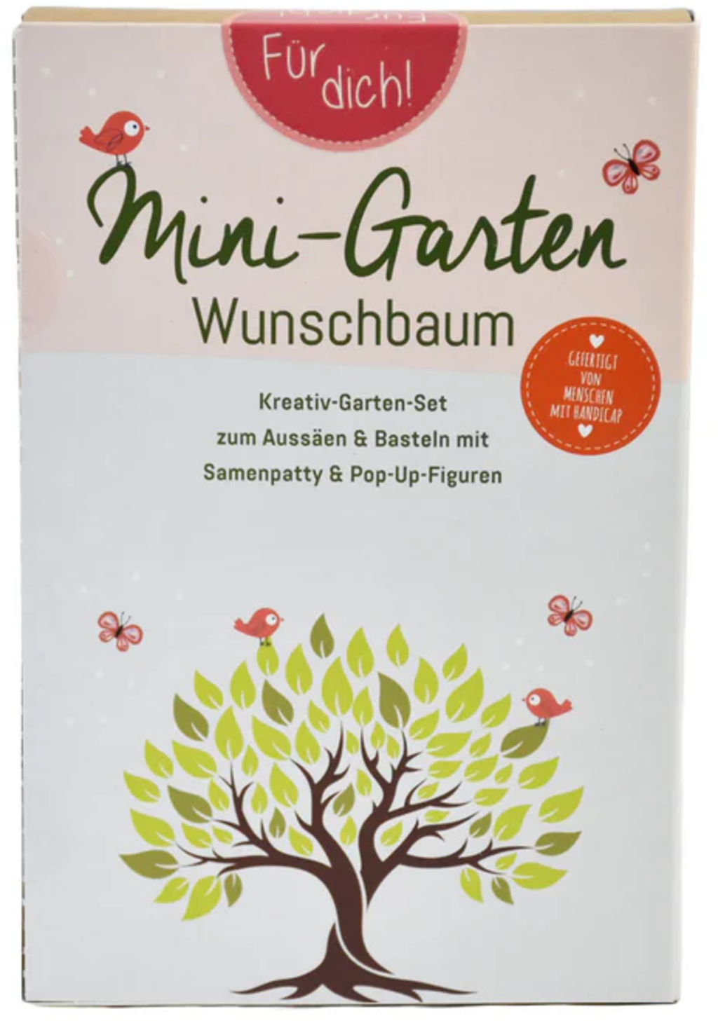 Kit Mini-Jardin 