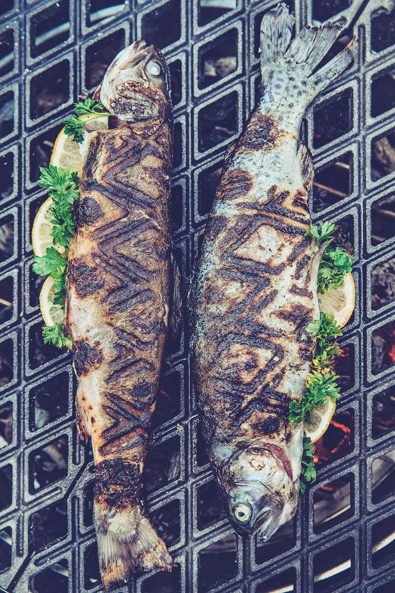 höfats CONE Grille en Fonte - 1 pcs