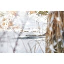 IceFree 4 Seasons - 1 db