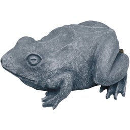 Oase Water Spout - Frog - 1 item