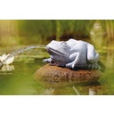 Oase Water Spout - Frog - 1 item