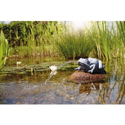 Oase Water Spout - Frog - 1 item