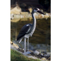 Oase Decorative Pond Figure - Heron - 1 item