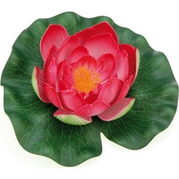 Oase Pontec PondoLily orange - red